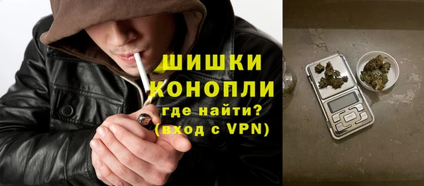 ешки Гусь-Хрустальный