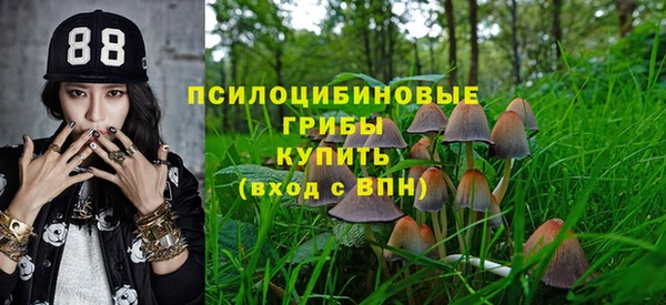 ешки Гусь-Хрустальный