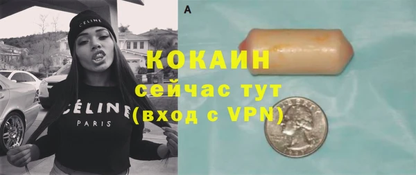 ешки Гусь-Хрустальный