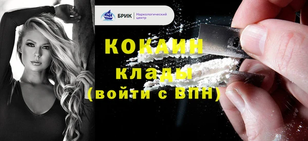 ешки Гусь-Хрустальный