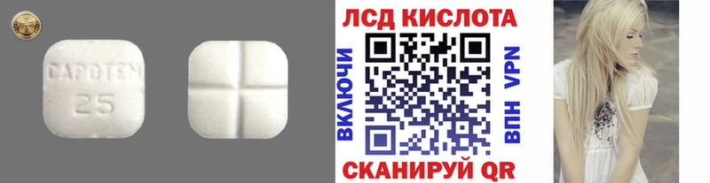Купить закладки  Новосокольники  LSD-25 экстази ecstasy 